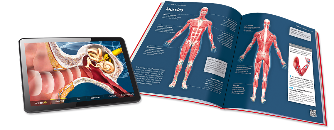 20 books with 800 3D scenes