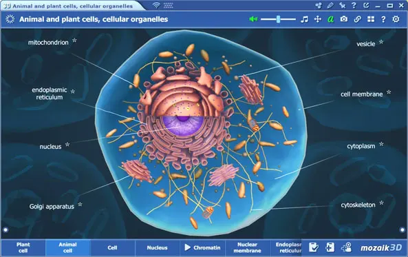 นวัตกรรมโซลูชั่นการศึกษาดิจิทัล