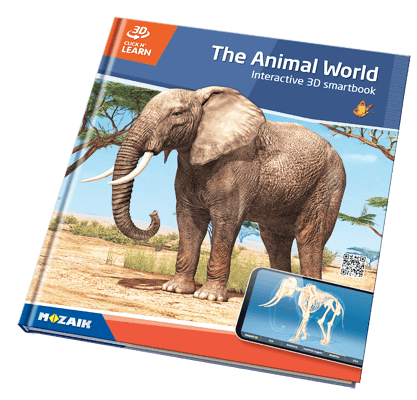 หนังสือ 20 เล่มพร้อมสื่อ 3 มิติ 800 ฉาก