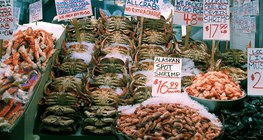 อาหารทะเลเป็นแหล่งอาหารที่สำคัญ