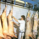 Slaughterhouse
