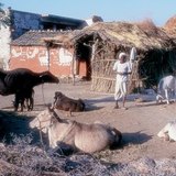 หมู่บ้านเอเชีย