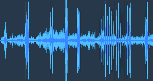 กระต่ายป่าตะวันตก