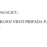 slagalica