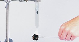 การตรวจสอบความหนาแน่นของพลังงานของวอลนัท