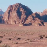 Wadi คําภาษาอาหรับแปลว่า ท้องแม่น้ำแห้ง