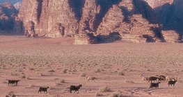 Wadi คําภาษาอาหรับแปลว่า ท้องแม่น้ำแห้ง