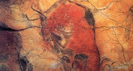 ภาพวาดวัวกระทิงในถ้ำ Altamira (สเปน 15,000-10,000 ปีก่อนคริสตกาล)