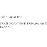 slagalica1