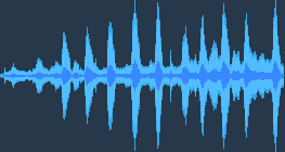 นกนางนวล