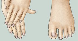 มือและเท้าที่ได้รับการดูแลเป็นอย่างดี
