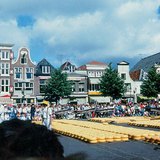 ตลาดชีสใน Alkmaar