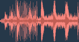 เหยี่ยวทุ่ง