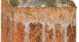 รายละเอียดดินเค็ม