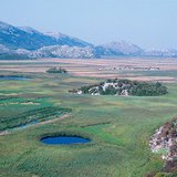 โปลิก (สนามคาร์สต์)