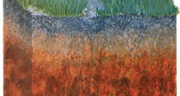 ดินป่าสีน้ําตาล