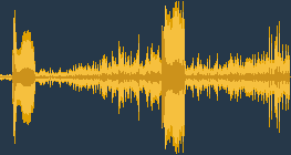 นกหัวขวานสีดำ