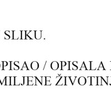 Mačke