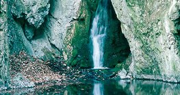 ฤดูใบไม้ผลิ