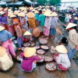 ตลาดปลาในเวียดนาม