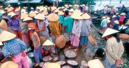 ตลาดปลาในเวียดนาม