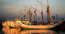 เรือใบในอินโดนีเซีย