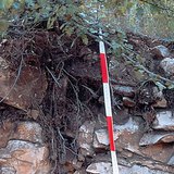 ส่วนของ lithosoil