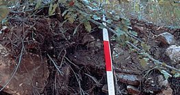 ส่วนของ lithosoil