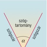 Parts of an angle
