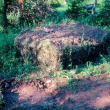 การทําปุ๋ยหมัก