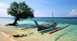 เรือขึ้นฝั่ง