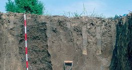 รายละเอียดของเชอร์โนเซม