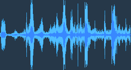 นกกระสาสีเทา