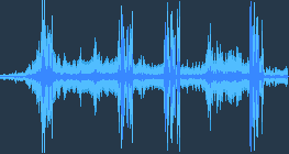 นกเขนทะเลทราย