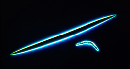 ฟองน้ํา spicules -&nbsp;ไมโครคลาสและ megascleres (สปองกิลลา ลาคัสทริส)