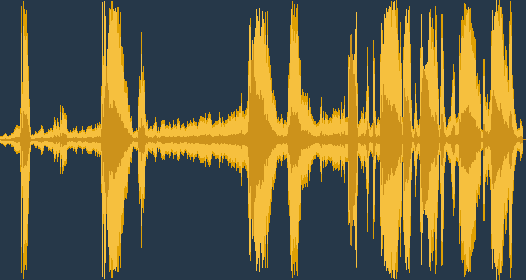 นกนางนวลสีดำ