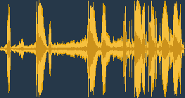 นกนางนวลสีดำ