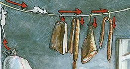 ชีวิตของหนูบ้านที่อยู่ในตู้กับข้าวและห้องใต้ดิน