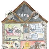 อาคารที่พักอาศัยสามารถเลี้ยงสัตว์ขาปล้องได้หลายชนิด