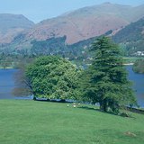 Parklands สามารถพบได้ในพื้นที่ที่ถูกทําลายในอังกฤษ