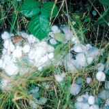 หลังจากพายุลูกเห็บตก