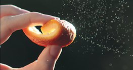 น้ำมันหอมระเหย - เปลือกส้ม