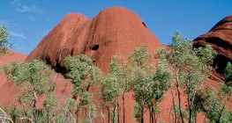 บอร์นฮาร์ดแห่งภูเขาโอลกาในออสเตรเลีย