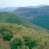 ภูเขาบล็อกความผิด