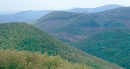 ภูเขาบล็อกความผิด