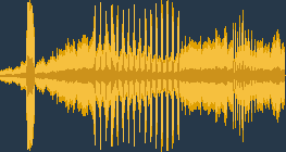 นกเค้าแมวหูสั้น