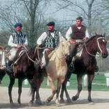 Gauchos คาวบอยอาร์เจนติน่า