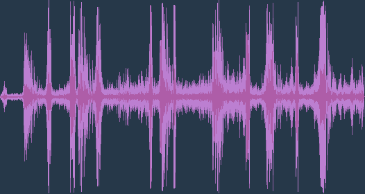 นกอินทรีหัวไหล่ขาว