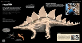 Fossils