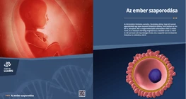 Human Reproduction